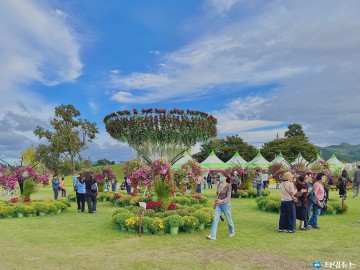 경주 ‘황금정원나들이’, 10일간 20만 명 몰려 성황리에 종료