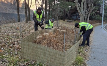 대전시, 80곳 녹지 점검·고사가지 제거…2~13일 집중 정비