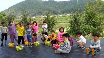 모둠별 향토음식 만들기 체험
