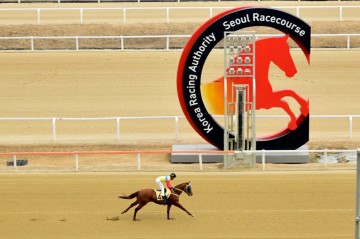 영천시 경주마렛츠영천 렛츠런파크 서울에서 첫우승