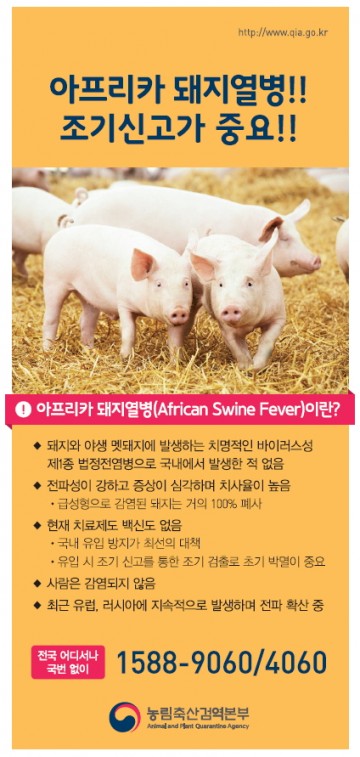 정읍시 아프리카 돼지열병 대응 총력