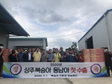 상주시, 과즙미 뿜뿜,  복숭아 해외로 갑니다!