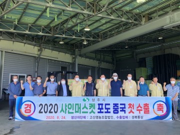 상주 샤인머스켓 중국 첫 수출 열다! 