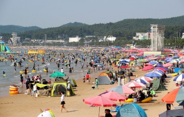 안전하고 쾌적한 해수욕장 조성에 심혈을 다하는 태안군
