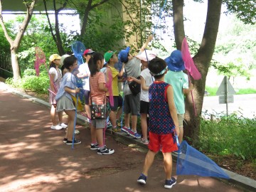 서울 강남구 양재천 여름 특별프로그램 운영