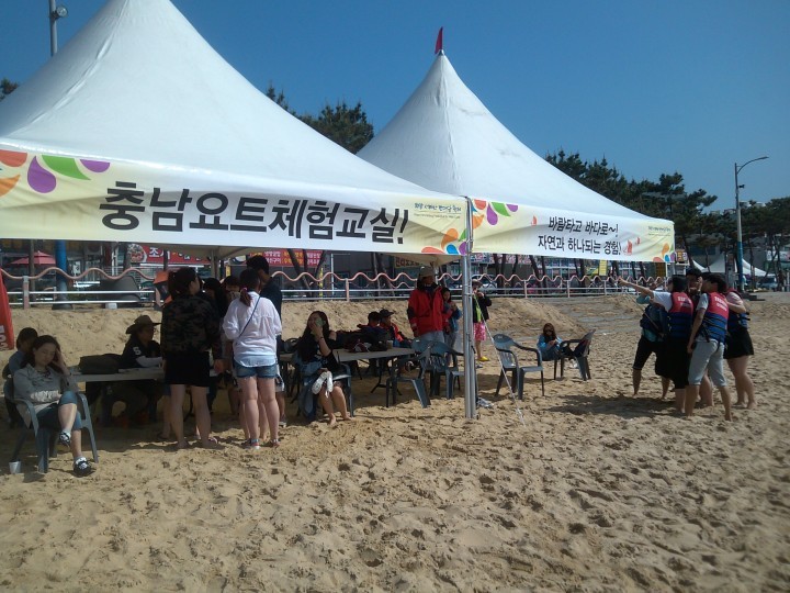 충남도, 올해 요트 무료체험 교실에 1180명 참가