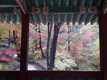 창덕궁 후원에서 만나는 궁중 음악과 춤 「창덕궁 풍류」