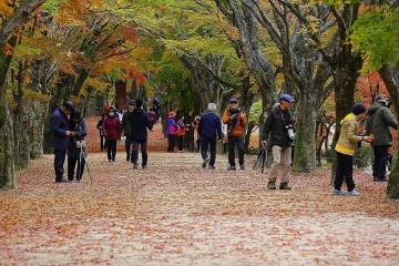 내장산 관광특구 활성화 국비 4억7300만 원 확보… 사업 박차 