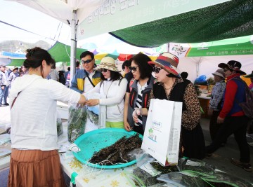 [포토뉴스] 영양산나물 축제