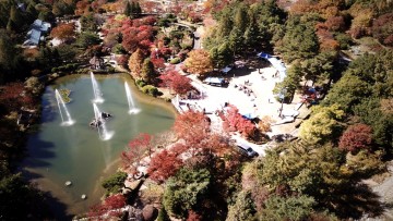 단풍 명소 경상북도수목원에서 코로나블루 극복하자!