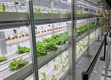 대전교통공사, 대전역에 도심형 스마트팜 운영