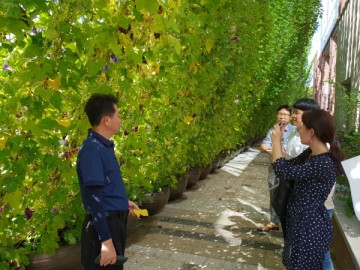 수원시, 그린커튼 조성사업장 현장 점검