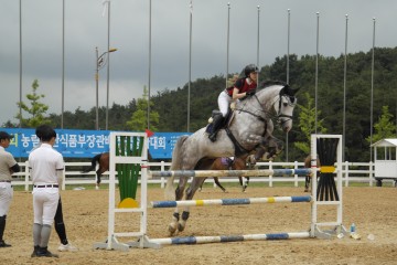 상주시, 농림축산식품부장관배 전국승마대회 성황