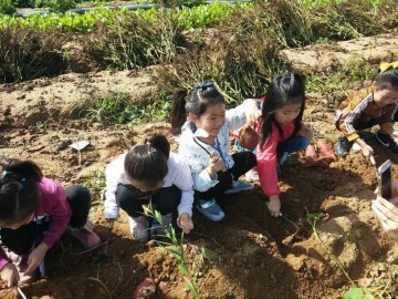 부천시, 친환경 벼농사 체험 프로그램 운영