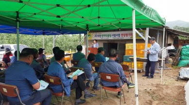 영주시, 부직포 이용 가지재배법 개발