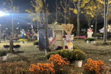 국화‧우리꽃 작품전시회, 관광객 인기 끌고 있는 예천군