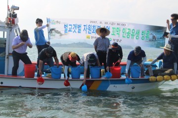 보성군,‘벌교갯벌 꼬막자원 회복 종합계획’마련