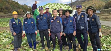 무공수훈자회 충청북도지부, 김장배추 수확 일손돕기에 구슬땀