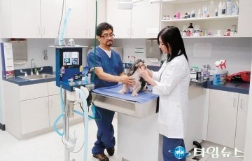 [독자기고]시급한 동물의료 수가제 도입...- 고공 상승하는 동물 의료비를 진단하다!!!