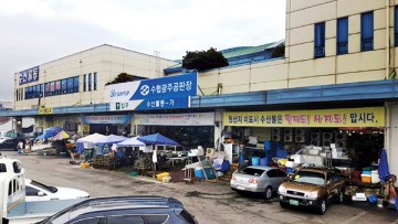 수협광주공판장 “어식백세 제철수산물 병어 축제”