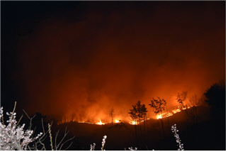 [독자기고]봄철 산불예방법 이렇게 하자