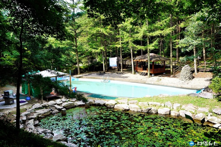 봄 맞이 음성 여행지 추천, 자연과 문화가 어우러진 힐링 명소들