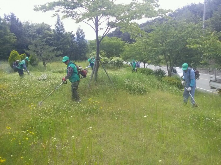 고성군 대가면새마을지도자협의회, 환경정화 활동 펼쳐