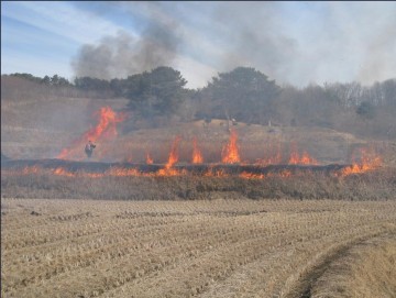 [독자기고]해충 방지 효과 없는 논‧밭두렁 또 태우시려고요?