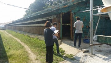 청원구 북이면  무허가 축산시설 일제 실태조사