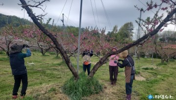 충북이 쏘아 올린 ‘도시농부’ 기적... 누적 인력 중개 60만 명 돌파