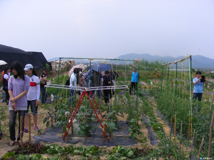 달성군 신당정보화마을, 주말 농장 분양 