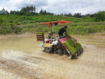 의성군, 전국 최초 직진 자동조향장치 이앙기에 도입
