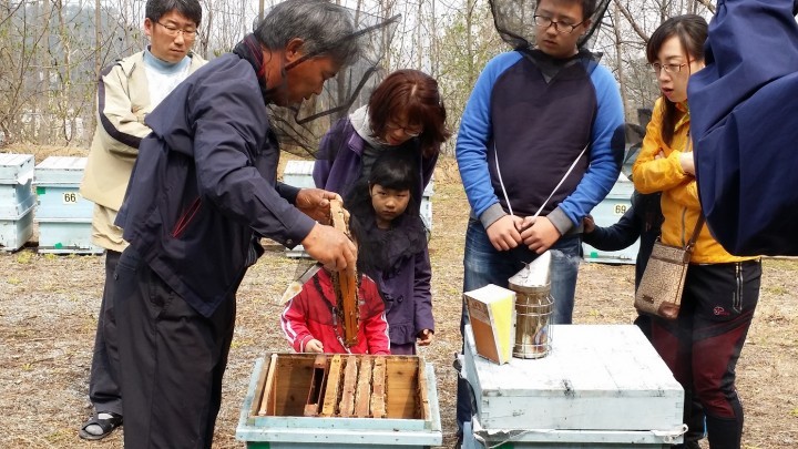 대전시, 2015년 ‘시민 체험양봉장’ 사업 신청자 모집
