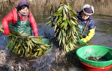 강진산 천연소화제 토하(土蝦)잡는 농부