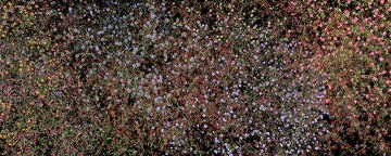 대전시립미술관, 제니퍼 스타인캠프 전시개최