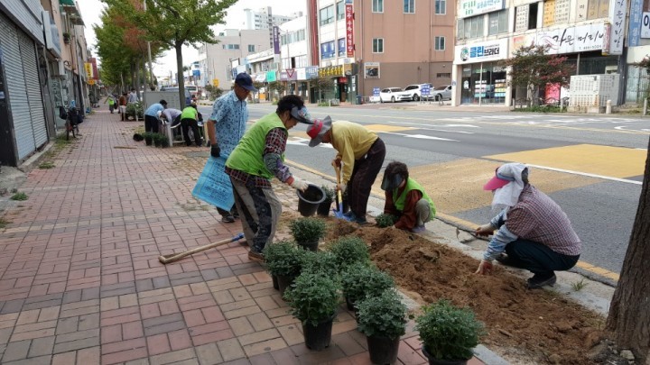 국화꽃 거리 조성으로 가을정취 만끽