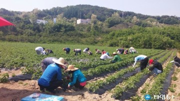 출산예정 여성농어업인 출산(예정) 여성농업인 대상... 최대 80일까지 도우미지원