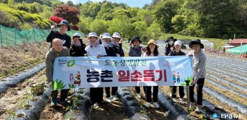청주시 공무원들, 고추밭서 '구슬땀'…농촌 일손 돕기 나서