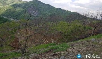 충주시 겨울 한파로 석추품종 큰 타격 국비 요청... 보험제도 개선 건의