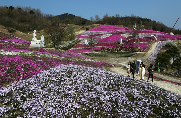 생초국제조각공원 꽃 잔디 유혹