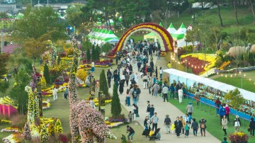 화순군, ‘화순 고인돌 가을꽃 축제’ 종료