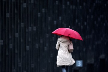  전국 흐려져 오후부터 '단비'… 강원 산간엔 '최대 5cm' 눈 소식