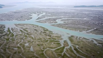 자연과 사람이 만나는 아름다운 무안갯벌, 세계유산 향한 첫걸음
