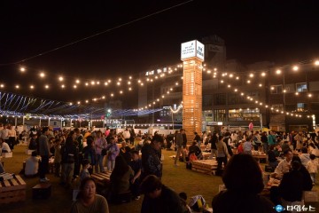 제51회 신라문화제, 성황리 폐막… 시민 자발적 참여 속 지역과 동반 성장하는 축제로 자리매김 