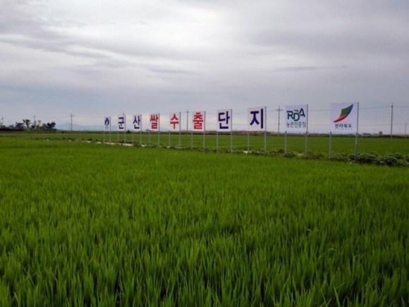 군산시, 농업기술보급 시범사업 8억 6천 지원  