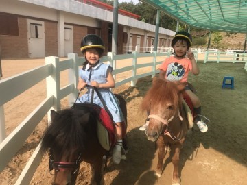 이정백 상주시장은 다양한 체험형 관광 국제승마장 승마특강 운영