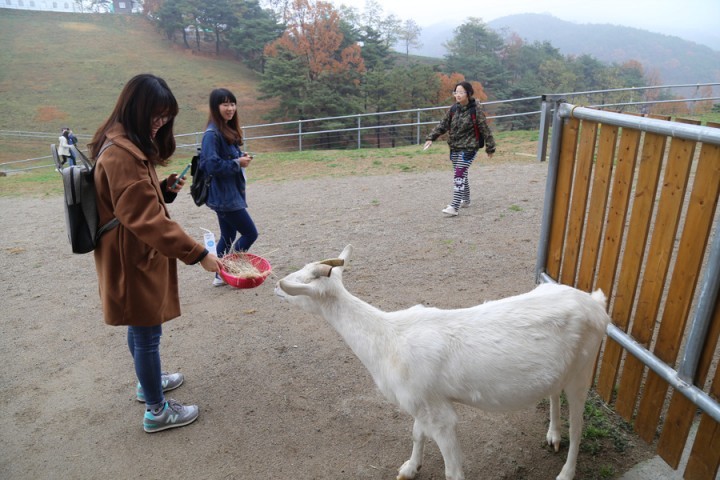 칠곡인문학여행, 외국인 유학생과 호국평화기념관을 가다