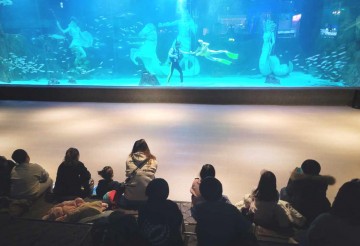 대전 유성구, 드림스타트 아동 위한 문화 프로그램 지원