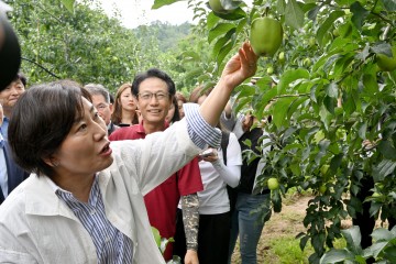 송미령 농림축산식품부장관 군위 사과농원과 농산물유통센터 방문