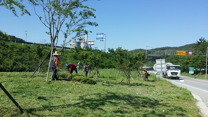 신안면 사회단체‘녹색산청’조성사업에 앞장서다